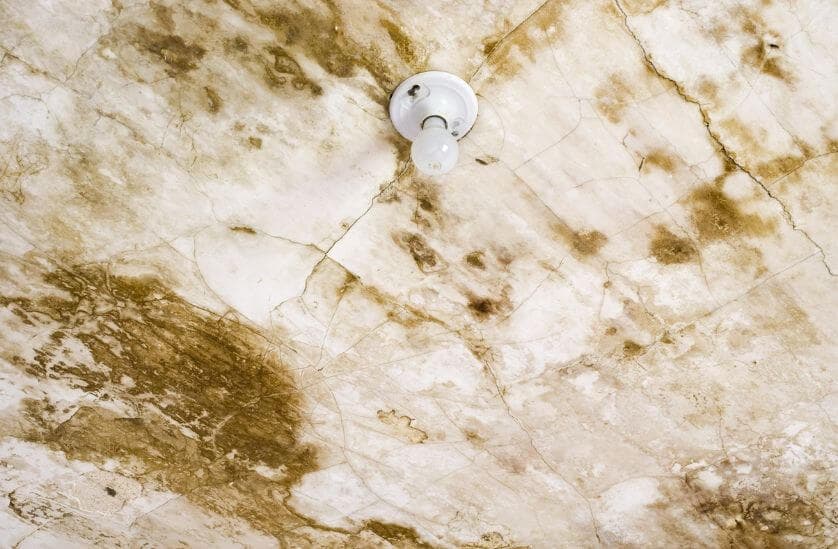 Severe mold growth on ceiling from untreated water damage requiring remediation